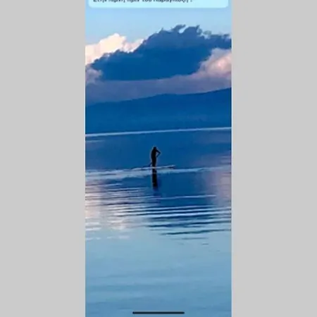 Vyron 1 Elegance 公寓 *