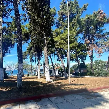 Vyron 1 Elegance Apartament