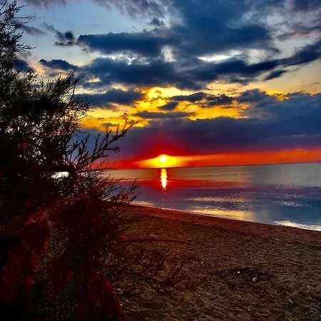 Vyron 1 Elegance 公寓 尼亚米卡尼奥纳