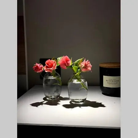 Vyron 1 Elegance نيا ميشانيونا